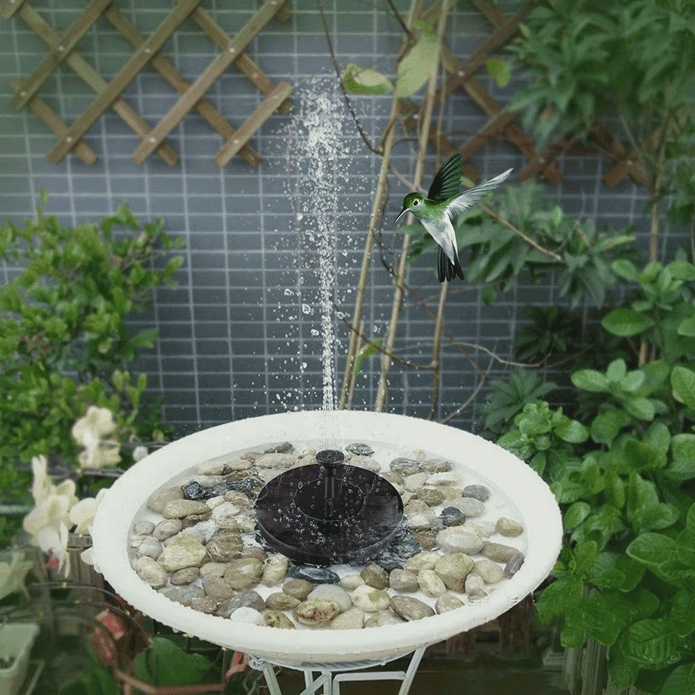 Solar water fountain pump running in a garden birdbath surrounded by decorative stones